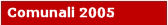 Elezioni Comunali 2005